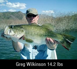 14 lb bass in Mexico